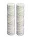 OMNIFilter RS5-DS Universal Whole House Filter Cartridge 2 Pack