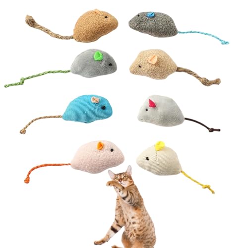 Lifetips ZQeB Serengeti Cat Lp lY~ʂ 8Zbg qL L V XgXU ^s ӂӂf L炵  ybgObY