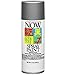 Krylon Now Economy Paints Aluminum