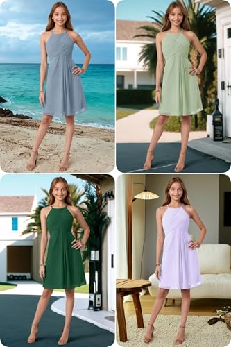Short Junior Bridesmaid Dresses for Wedding Chiffon Party Formal Dress Knee Length Flower Girl Dress with Pleated4