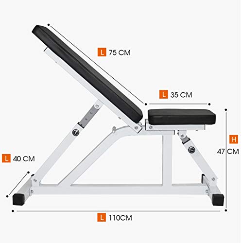 Weight Bench Adjustable Weight Bench-Utility Gym Bench for Full Body Workout, Multi-Purpose Foldable Incline Dumbbell Benchs Dumbbell Bench