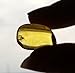 Natural Baltic Amber Fossil with Insect Inside - Beautiful Museum Grade Specimen