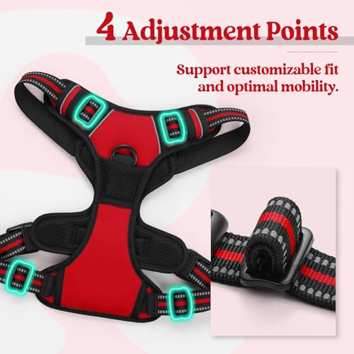 Image of rabbitgoo Dog Harness No Pull with 2 Leash Clips, Adjustable Soft Padded, Reflective Oxford No Choke Pet Vest with Easy Control Handle for Medium Sized Dogs, Red, M