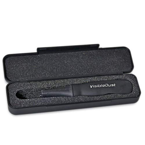 Visible dust - Arctic Beez