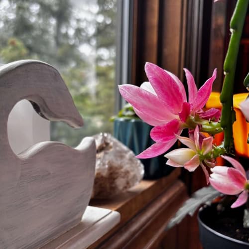 Vedic Astrology Weekly Forecast May 10 -16
