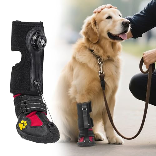 Poo4kark Fußheber mit Rolle (Keine Knöchelstütze) für Hunde. Korrigierende Hundeschuhe zum sicheren Anheben der Zehen bei Fußproblemen zur Verbesserung des Gangs bei Hunden. (Black, S)