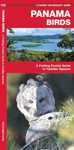 Panama Birds (Nature Observation International)