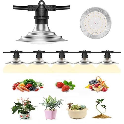 ROEDAX-HAO Plant Grow Lights, Full Spectrum LED Grow Lights, Greenhouse Outdoor Growth Light Bulbs (6) for Backyard Farm Seedlings, Vegetables, Flowers