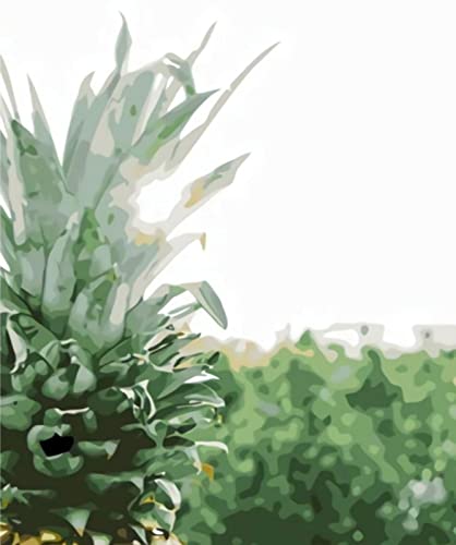 Point de croix pré-imprimé ananas 40x50cm pour s'initier au DIY
