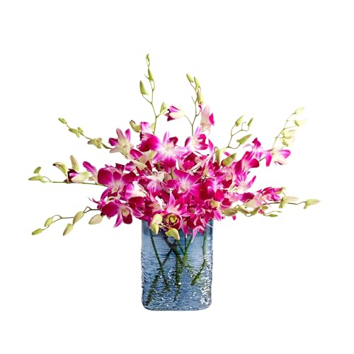 1800 Flowers – 10 Stem Exotic Breeze™ Orchids (Blue Textured