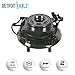 Detroit Axle - Rear Wheel Bearing Hubs for 2009-2015 Dodge Journey, 2014-2015 Ram ProMaster 2500 3500 Replacement 2010 2011 2012 2013 Wheel Bearing and Hubs Assembly Set, Pair Hubs