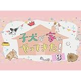 子犬が家にやってきた！