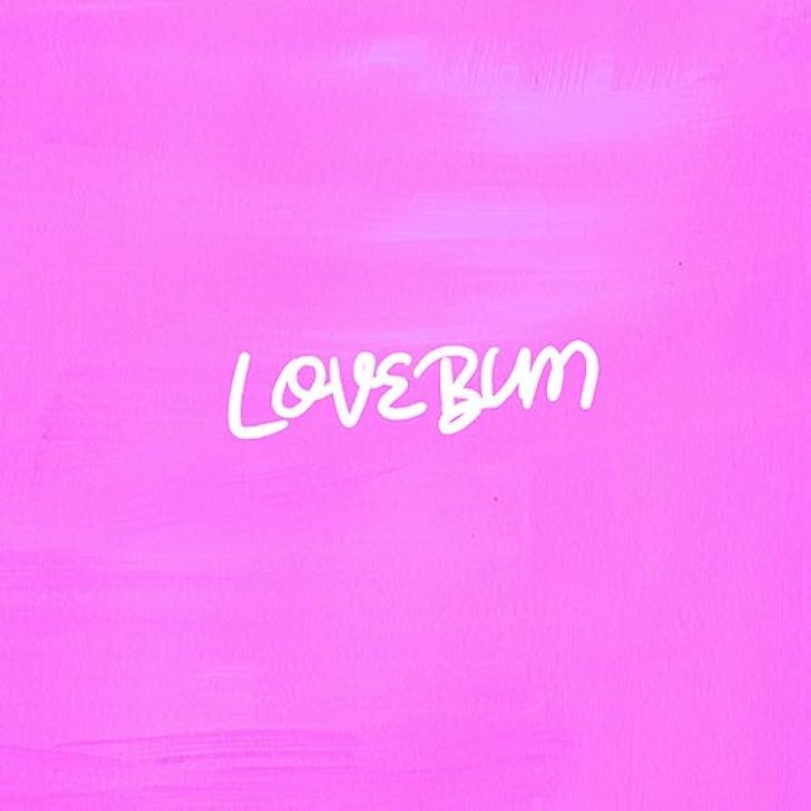BASI LOVEBUM レコード 極美品 BASI LOVEBUM レコード LP - メルカリ