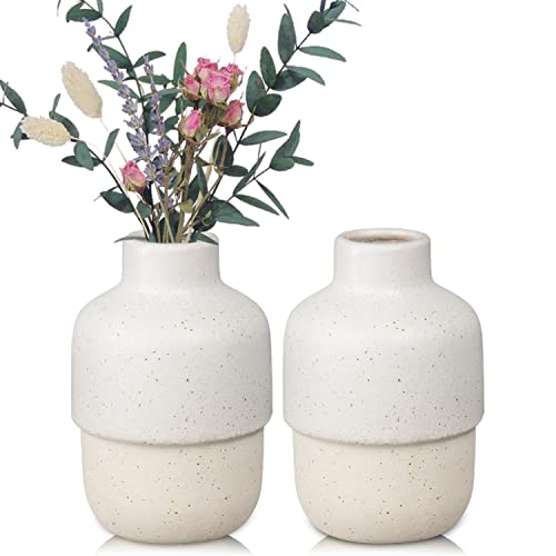 Keramik Vase, Kleine Vasen für Tischdeko, Blumenvase Modern, Vase Weiß, Handgefertigte Vasen, Toller Farbenmix Vasen Set für Home Decor, Fensterbänke, Wohnzimmer, im 2er Set Cover