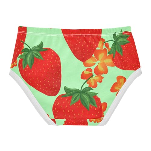 Strawberry Toddler Girls's Underwear 2T 202c13232