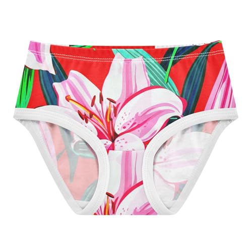 Artistic Girls Underwear Toddlers 2t Cotton Panties Little Girl White Pink Lily Flowers Red Kids Briefs Undies