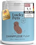 Lucky Pets