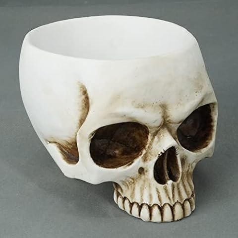 JORAE Human Skull Statue Open Head Halloween Figurine Home Decor Keys Candy Bowl Flower Pot Planter Container Day of The Dead Skeleton Collectible Outdoor Sculpture, 3.8 in, Polyresin Cover
