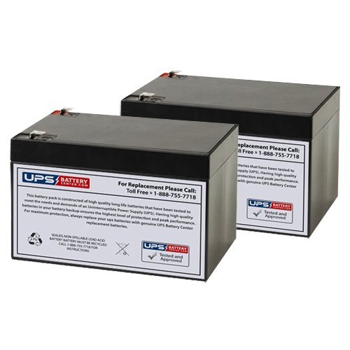 Bikit Tryke Electric Tricycle 12V 12Ah Scooter Replacement Battery Set