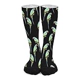 Chaussettes de football unisexes Alexandrine Perruche Chaussettes de football durables pour femme, pour football, baseball, randonnée, 40 cm, Chaussettes 1574, Medium