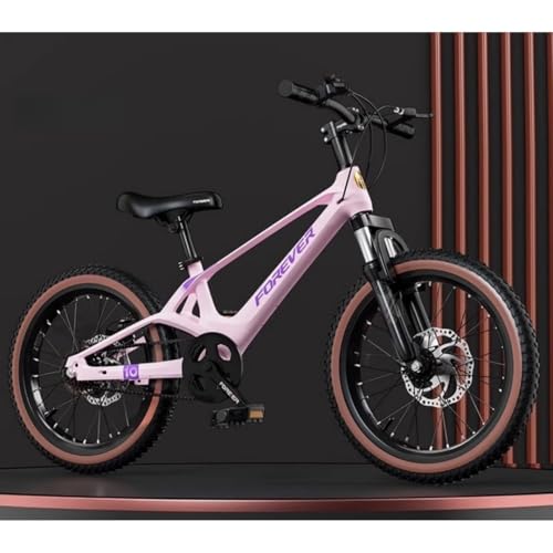 GrdMis�q���p���]�ԁA18/20/22�C���`�A�Ռ��z�����]�ԁA�ω׏d100kg ���y�ʁA�}�O�l�V�E���������}�E���e���o�C�N�A�j�̎q�A���̎q�A���w���A���w���ɓK���Ă���A�X����ʋ΂ɂ����g�����������܂� (�s���N + �V���O���X�s�[�h + �X�|�[�N�z�C