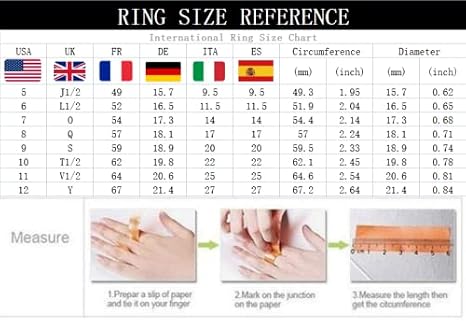 Lucifer Ring for Men, Satan Lucifer Demon Ring, Sigil of Lucifer Ring, Seal of Satan Signet Ring, Devil Skull Symbol Ring, Hip Hop Biker Ring, Viking Satanic Jewelry Gift for Men Boys