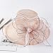 SRZYMJ Rosa Hochzeitshut Vintage 50er Jahre Damen Chic Capeline Kirche Elegant Fascinator Hut Sonnenhut mit Schleier Band aus Netzstoff Feder Blumen für Cocktail Braut Zeremonie Sonnenhut