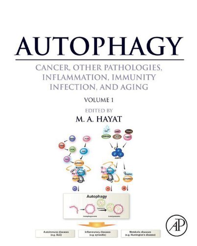 Amazon | Autophagy: Cancer, Other Pathologies, Inflammation, Immunity ...