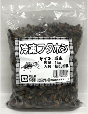 送料無料・邑楽ファーム】【クール便発送】冷凍フタホシコオロギ