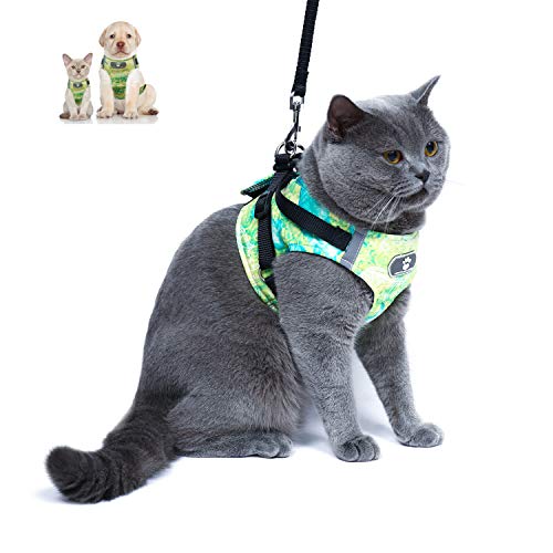 types of cat harnesses