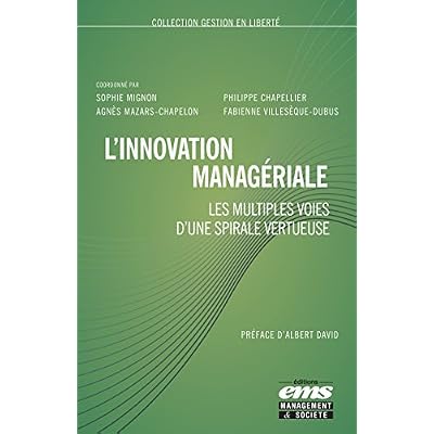 L'innovation manag&eacute;riale