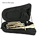 ROWELL Professional Bb Baritone Horn - 3 Valves Brass Baritone with Stainless Steel Valves Premium Case Set with Mouthpiece, Strap