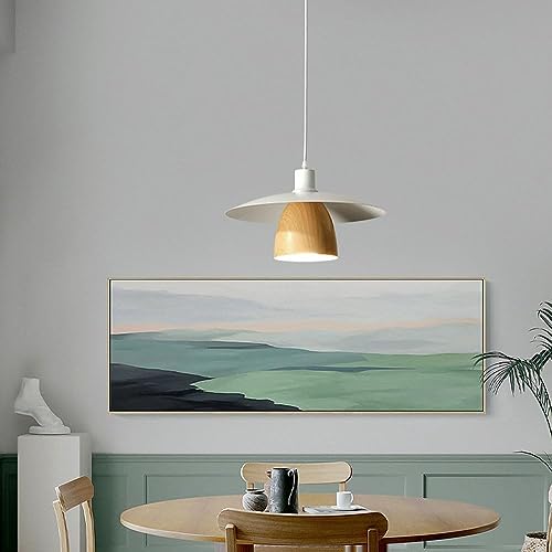 Lampe à suspension pour librairie et déco rétro de style industriel - 4