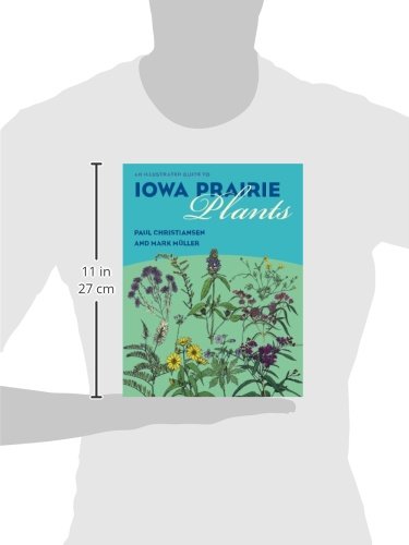 An Illustrated Guide to Iowa Prairie Plants