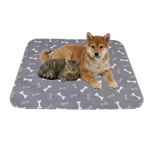 ペット シーツ 介護」の人気商品一覧 | 安い商品を通販サイトから探す