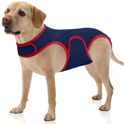 FUAMEY Dog Surgery Suit Female Spay, Male Neuter, Post Surgery Dog Onesie, Blue, L(Back:16in) L(Back:16in) Blue