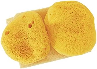 Sea Pearls- Premium Ultra Soft Reusable Sea Sponges- Large 2-Pack image 5