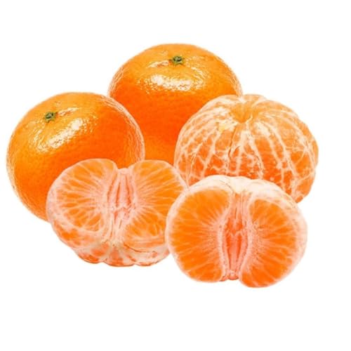 Fresh Mandarin Nova South Africa 1 kg 6-8 pcs