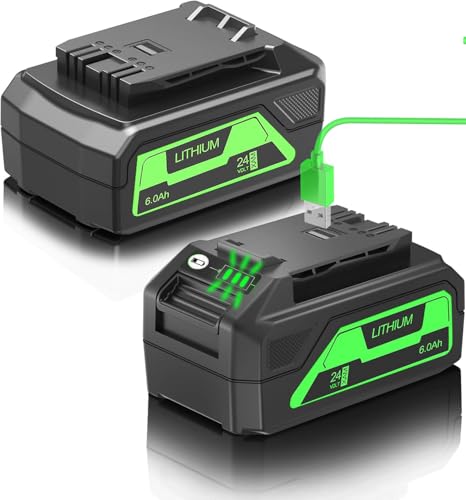 BOTKK 6.0Ah Replacement for Greenworks 24V Battery 29842 29852 LB24A020 for Greenworks 24V Trimmer Weed Blower (2 Packs)