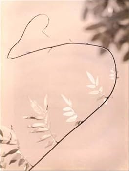 The History of Japanese Photography: Anne Tucker: 9780300099256