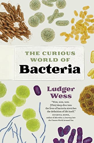 Bacteria view 2