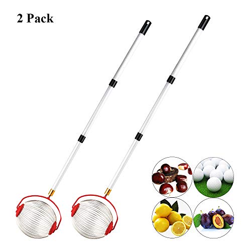 Preisvergleich Produktbild Cchainway Nut Harvester Kugelpicker Edelstahl Nut Gatherer 2er-Set