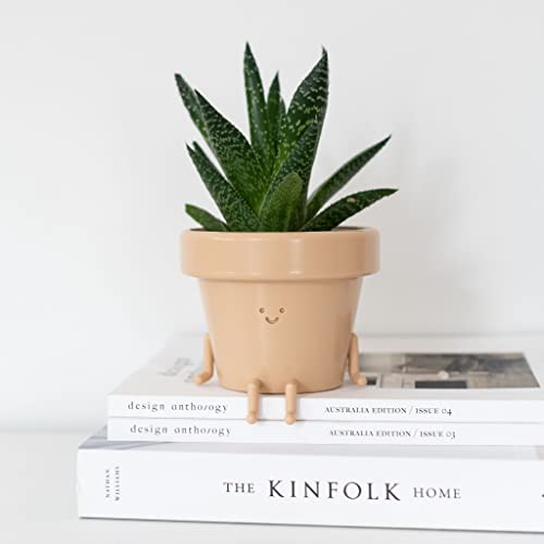Sitting Indoor Plant Pot, Unique Cute Plastic Flower Pot With Face, 3.5 Inch Succulent/Cactus Gift Planter With Drainage Hole, Decorative Plant Pot, Novelty Planter (1X Sitting Pot) #TOP5