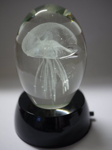 B00BJTIH6A 3.75 Inch Valentine Special Glass Jellyfish Paperweight thumb #2