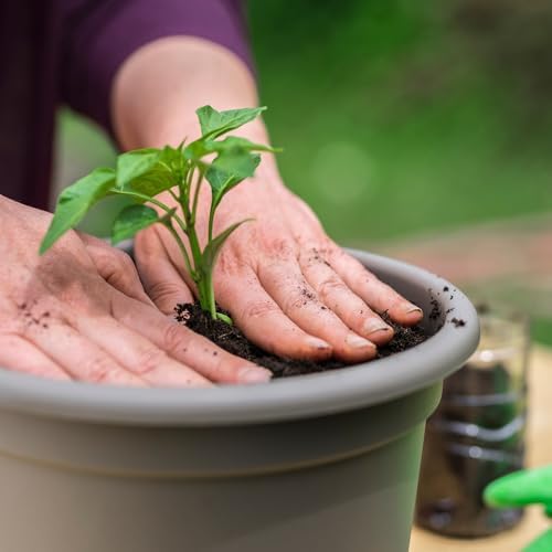 Leca Horticultural Grit, Clay Pebbles, Lava rock like, Fine Grade 2-4mm 1L (15L)