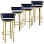 Blue Gold Leg