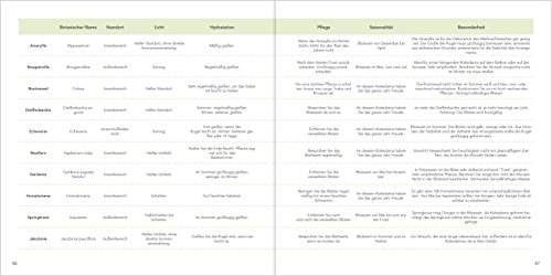 Dekorieren mit Mooskugeln: Coole Pflanz- und