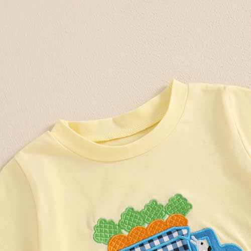 Image of Toddler Baby Boy Easter Rabbit Outfit Short Sleeve Bunny Carrot Smocked T-shirt Elastic Waist Shorts Summer Clothes