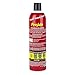 FireAde Personal Firefighting Extinguisher Foam Aerosol for Outdoor and Indoor Use, 16 Ounces