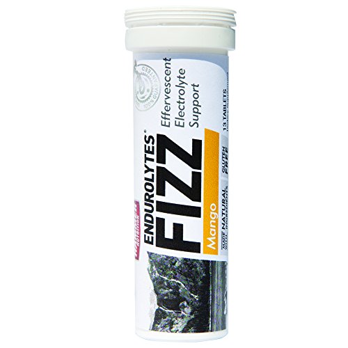 Hammer Nutrition Endurolytes Fizz Electrolyte Tablets - 1 Tube (Mango) - //coolthings.us